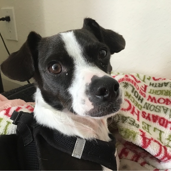 Meet your Posher, Christian - Picture 1 of 1